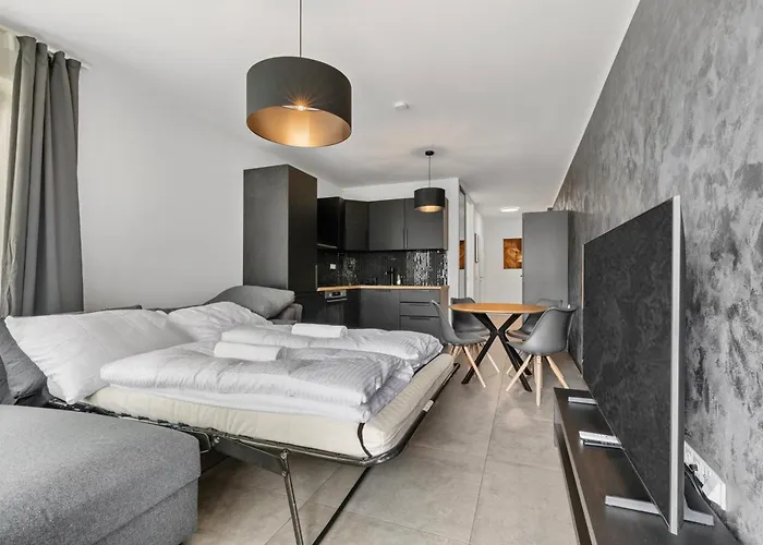 Lam Felidae - Ac - Balcony Apartament *